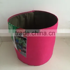 Non Woven Fabric Material Grow Bags Type Wholesale thumbnail-3