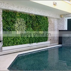 Stair Wall Decorative Plants Wall thumbnail-6