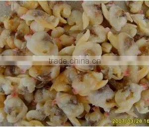 Hot Sales Frozen Surf Clam Meat thumbnail-1