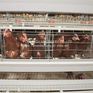 Battery Layer Chicken Cage & Poultry Cages thumbnail-1