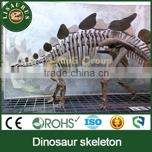 JLDF-0258 Animated Dinosaur Replica of Dinosaur Fossils thumbnail-1