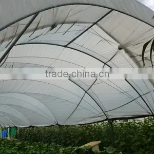 Greenhouse Structure Pole Ancher Stake in Horn Shape thumbnail-6