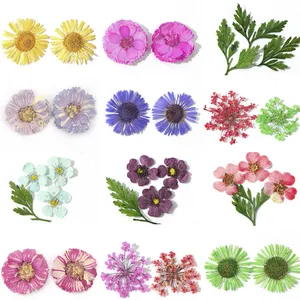 Natural Floral Leaf Stickers Babysbreath Dry Flower Tiny Dried Flowers For Nail Art thumbnail-2