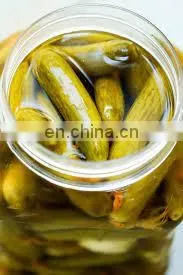 Gherkin Best Price High Quality/Best Canned Food Pickled Cucumber From Vietnam thumbnail-3