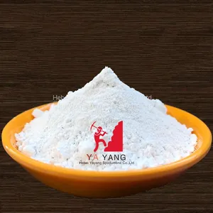 Calcium Carbonate - Heavy and Light Calcium Carbonate Powder Bulk Carbonate Manufacturer thumbnail-3