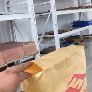 Lawn Leaf Yard Trash Brown Kraft Paper Bag Lawn and Leaf Paper Bag Manufacturer Biodegradable Recyclable Craft Paper Bag thumbnail-1
