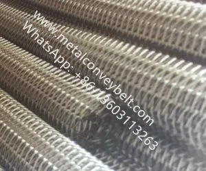 Drive Balanced Weave Wire Mesh Belt thumbnail-1
