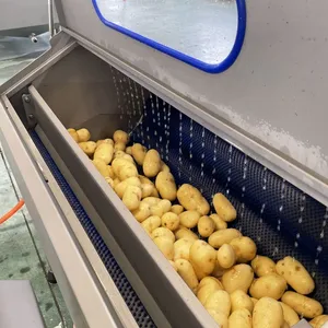 Industrial Vegetable Multi Function Brush Roller Electric Washing Equipment Cassava Ginger Washer Potato Peeling Machine thumbnail-3