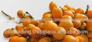 Betelnut Premium Quality thumbnail-6