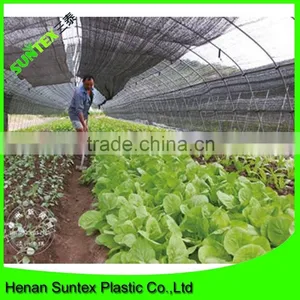 Blue Agriculture Windsurfing Flate Wire Shade Netting thumbnail-2