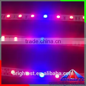 Shenzhen LED Grow Light Strip12V DC,Ws2812 5050 Led Strip Led Plant Grow Light Strip thumbnail-4