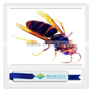 Theme Park Giant Ant Insect Models thumbnail-3