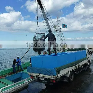 Seafood Processing Cooler Box MCY1000L thumbnail-2