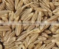 Cumin Seed Europe Quality 99% thumbnail-1