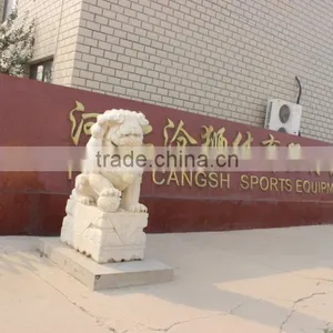 Hebei Cangshi Culture & Sports Equipment Co., Ltd. company overview - view 1 thumbnail