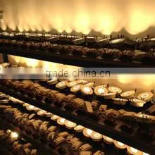 Shenzhen Lifong Technology Co., Ltd. company overview - view 2 thumbnail
