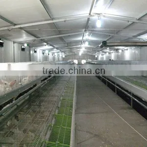 Rabbit Equipment for Large Farm Business thumbnail-1