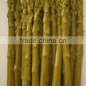 Canned Green Asparagus Tips and Cuts/Canned Food/Canned Vegetables thumbnail-3