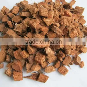 COCONUT CHIP thumbnail-1