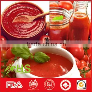 Tomato Paste in Cans and Drum thumbnail-3