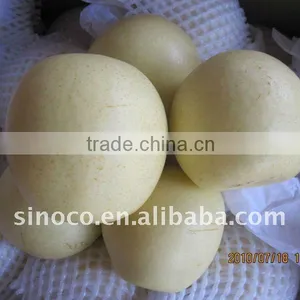 Apple Pears For New Crop China (Crown Pear) thumbnail-1