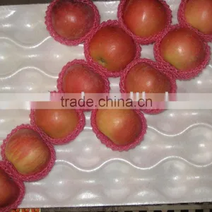 Apple thumbnail-1