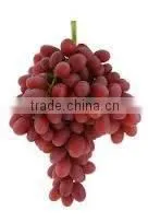 Grapes Crops 2014 thumbnail-1