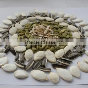 High Quality Grade A Pumpkin Seeds thumbnail-6