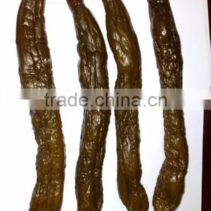 Pickled Cucumber thumbnail-1