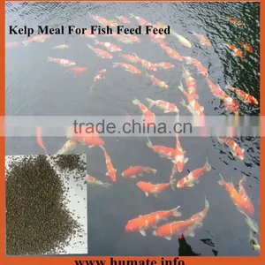 High Quality Kelp Meal Organic Fish Fertilizer thumbnail-1