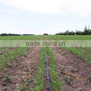 Trickle Irrigation Lines thumbnail-5