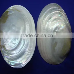 Natural Polished Chinese Mother of Pearl River Shell Raw thumbnail-1