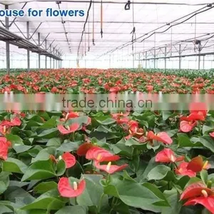 Clear Polycarbonate Sheet With Foldable Shading Net Greenhouse For Vegetables thumbnail-5