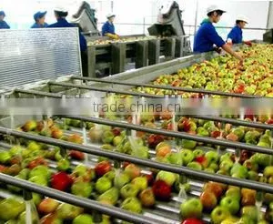 3-in-1 Automatic Fruit Juice Production Line thumbnail-1