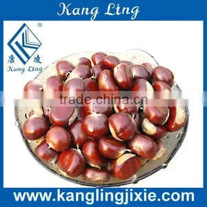Nuts Roasting Machine/penuts Roaster Machine thumbnail-1