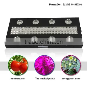Energy Effecient Led Grow Light Solutions for Greenhouse Hydroponics thumbnail-1