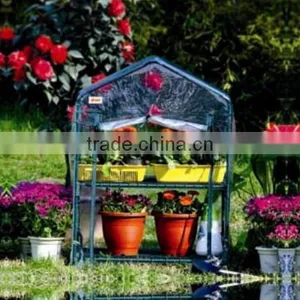 Mini Greenhouse,cheap Greenhouse,vegetable Greenhouse for Flower and Plant thumbnail-1