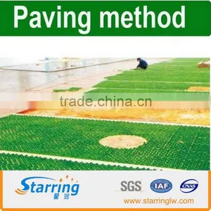 Plastic Paving Grid thumbnail-2