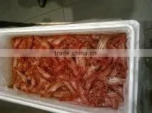 Live Spot Prawn thumbnail-3