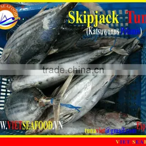 FROZEN W/R SKIPJACK TUNA thumbnail-1
