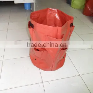 PE Material Strawberry Planter thumbnail-1