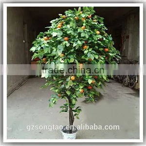 Realistic Mini Apple Plants Fresh Apple Fruits for Sale thumbnail-4