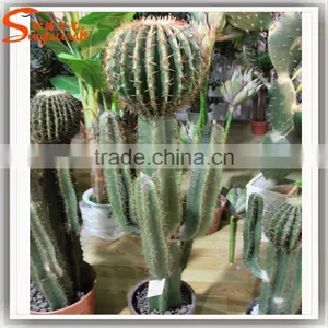 Latest Design Home Decoration Craft Artificial Cactus Plants Make Decoration Plastic Cactus and Plants thumbnail-4