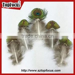 New Trendy Gold Color Cheap Artificial Peacock Feathers for Sale thumbnail-2