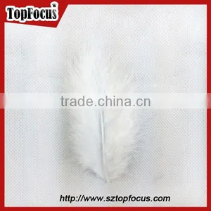 Wholesale Natural Decorative Dyed Down Turkey Feather for Sale thumbnail-6