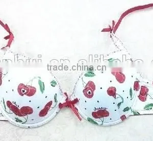 Cherry Bra/ Fashion Spandex Bra Sexy Bra Underwear Made in China thumbnail-2