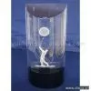 Sell Crystal Trophy thumbnail-1