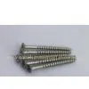 Bugle Head Drywall Screws Coarse Thread Dacromet thumbnail-1