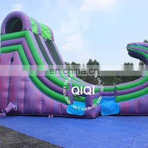 Inflatable Water Slide for Commercial thumbnail-2