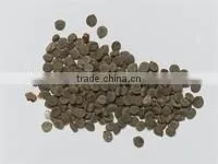 CASSIA OCCIDENTALIS thumbnail-1